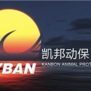 {“title”: “湖南凯邦生物科技公司介绍”, “content”: “\n<h1>湖南凯邦生物科技公司介绍</h1>\n\n<p>湖南凯邦（凯邦中国）生物科技有限公司（以下简称「凯邦生物」）是一家专注于生物科技研发、生产与销售的高新技术企业，总部位于湖南省。公司以「伟凯邦信息」为信息化运营平台，致力于推动生物科技领域的创新与发展。</p>\n\n<h2>一、公司概况</h2>\n<p>凯邦生物立足湖南，面向全国，辐射全球，依托当地丰富的生物资源与科研优势，构建了集研发、生产、销售和服务于一体的完整产